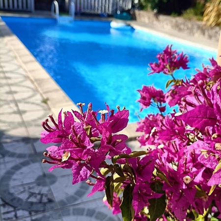 Les Bichettes Bed & Breakfast Mortagne-sur-Sevre Exterior photo