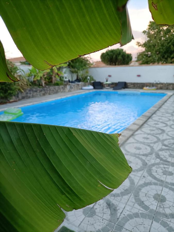 Les Bichettes Bed & Breakfast Mortagne-sur-Sevre Exterior photo